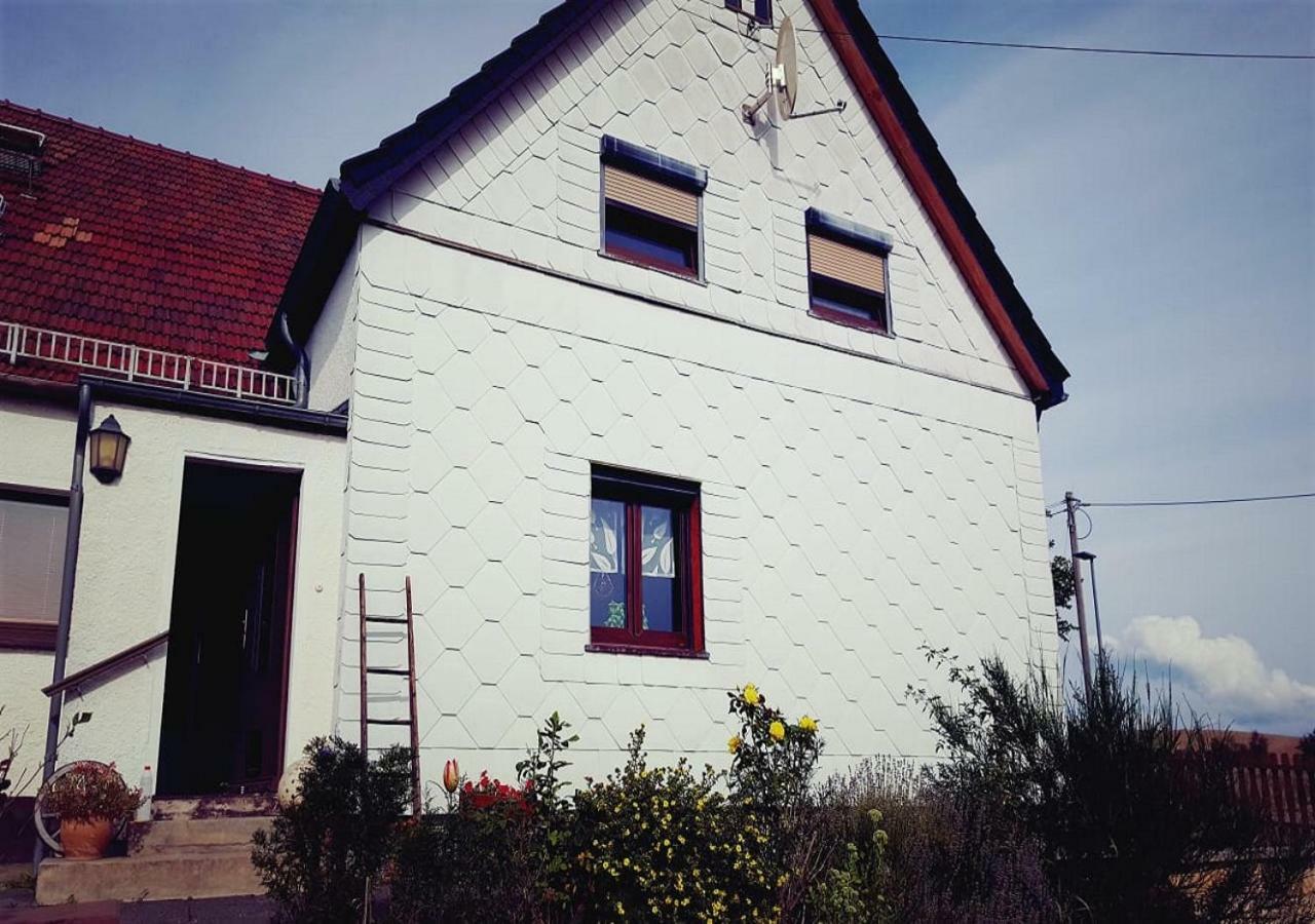 Ferienhaus Polly Rabenau Eksteriør billede